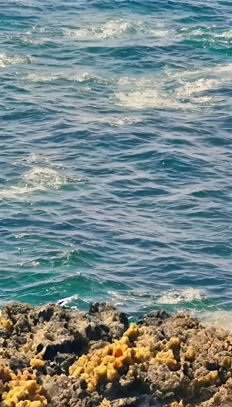 手机高清大海壁纸