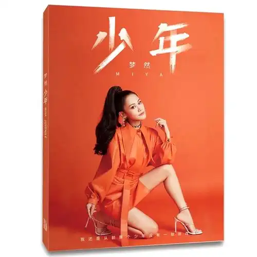 原创专辑梦然少年cd野花