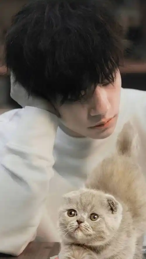 易烊千玺与猫咪,白衣少年岁月静好