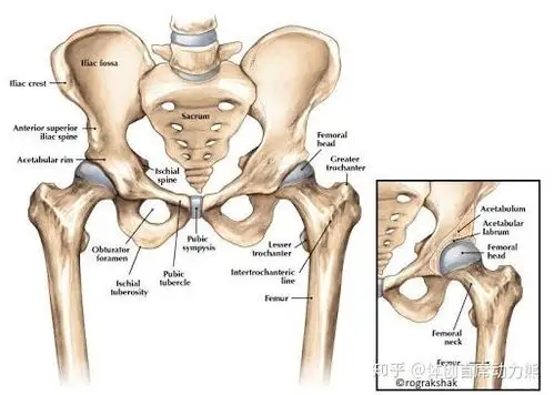 最近老是无缘无故大腿根疼,是不是腰突导致的?
