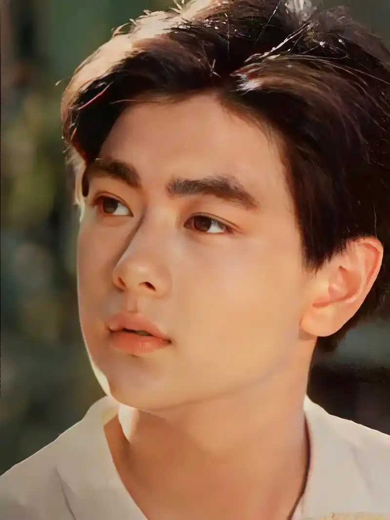 不老男神林志颖突发车祸,颜值巅峰很绝.