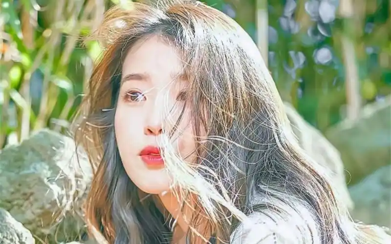 又纯又欲的iu壁纸新的一期哦