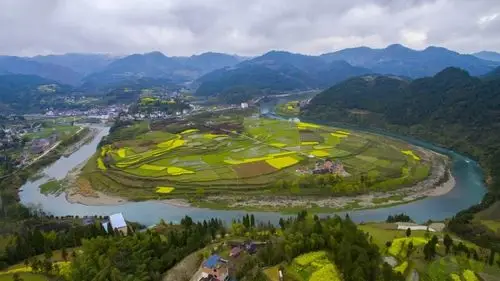 十里桃林(镇远白杨坪)