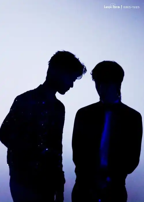 博君一肖肖战王一博剪影