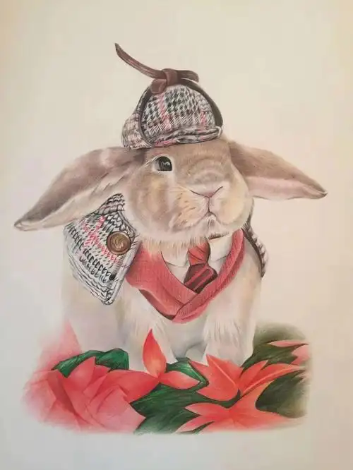 尘封已久的彩铅作品