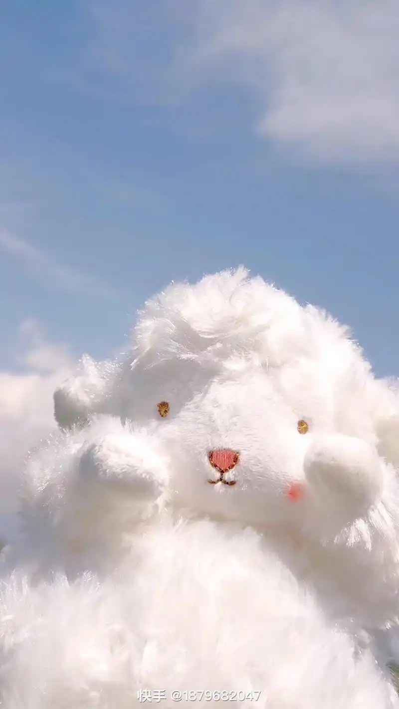 不一定要很漂亮 但一定要开心. 欢迎拿图 神仙壁纸图 治愈系