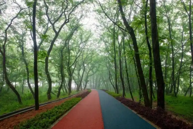 1314一生一世江山的这条绿道很浪漫