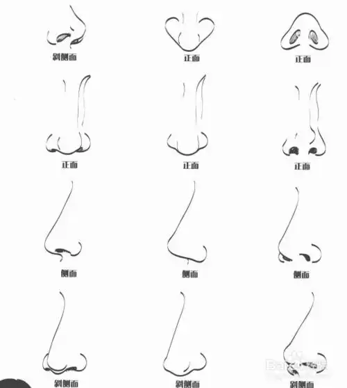 零基础初学入门画漫画手绘教程教学习