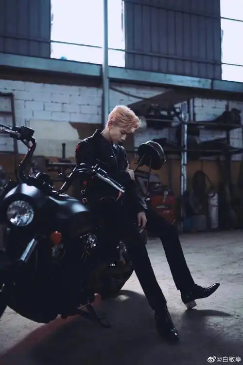 白敬亭晒库存机车造型图