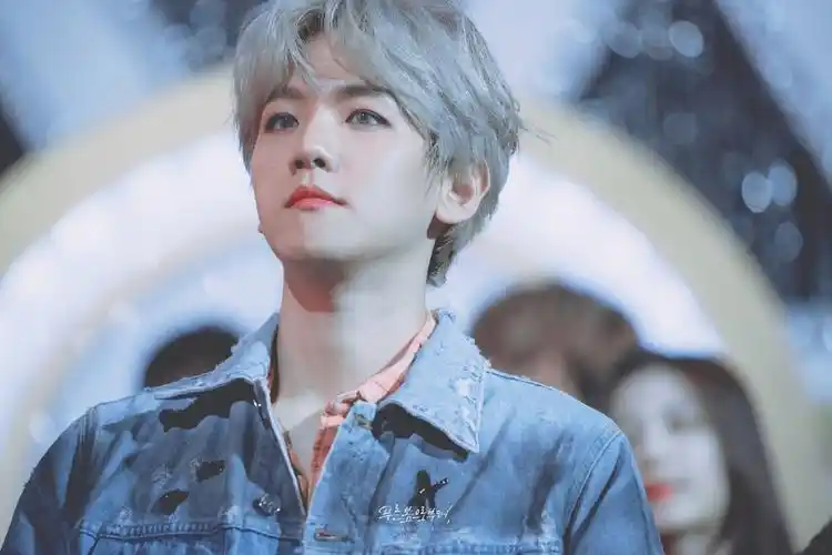 边伯贤/蓝春 - 堆糖,美图壁纸兴趣社区