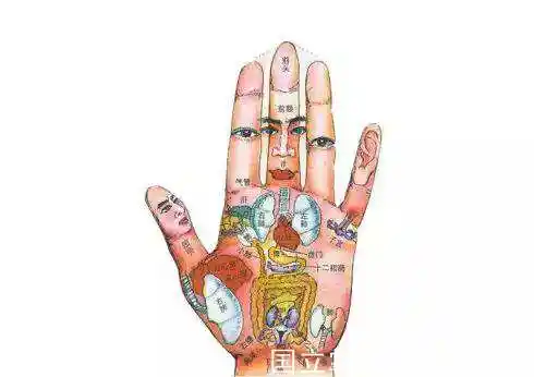 九宫手诊脏腑图