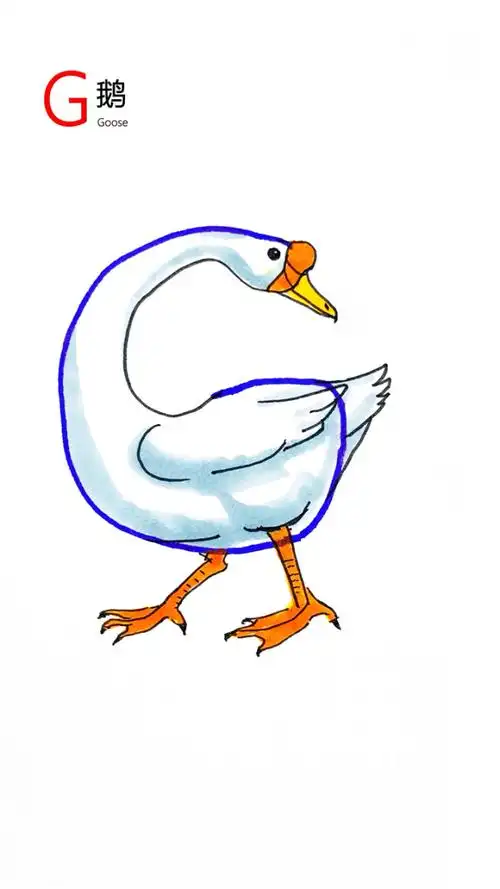 趣学简笔画10. 字母 g 画大白鹅,喜欢就点个赞吧,谢谢05