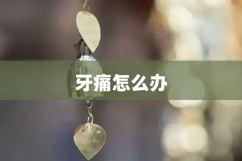 牙痛怎么办以下文字资料是由(历史新知网www.lishixinzhi.