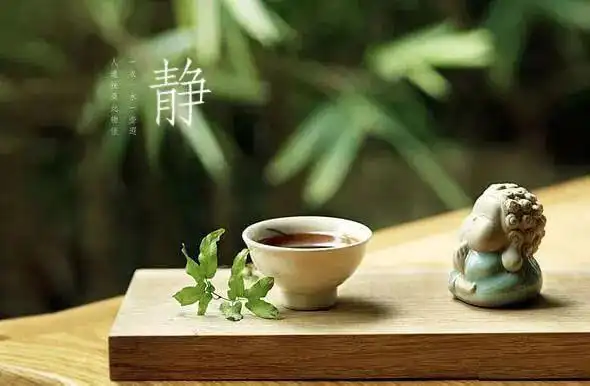 采禅意入墨,寄静美于心