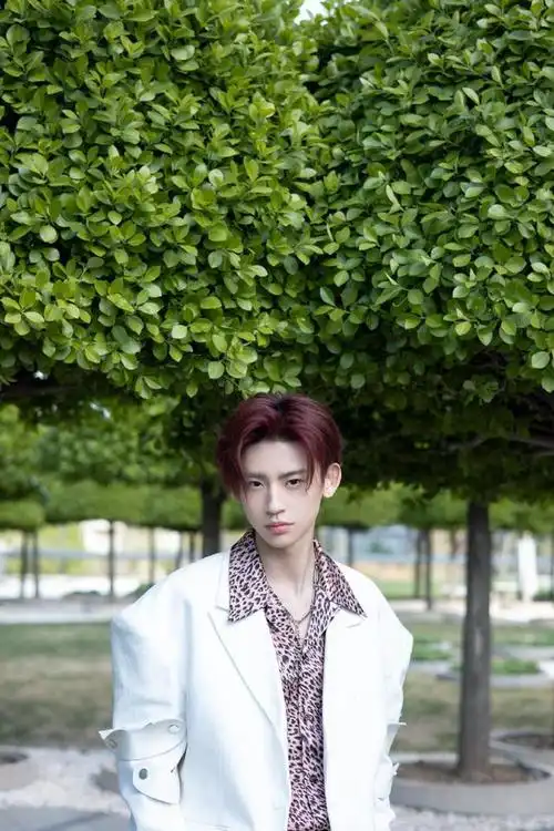 210404 王琳凯白西装舞台照 户外大片公开 羊驼玩偶是什么可爱开关吗?