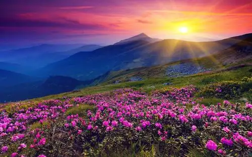 人生健康平安就是福