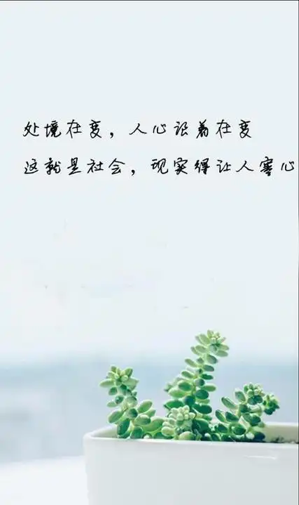 现实的社会虚伪的人心 - 说说心情- 不二励志语录