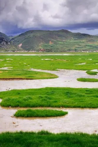 水漫草甸