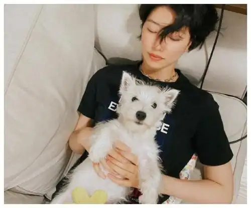 李亚鹏女友姿态似王菲靠撒娇屡获人心可这妆前妆后也差太远了