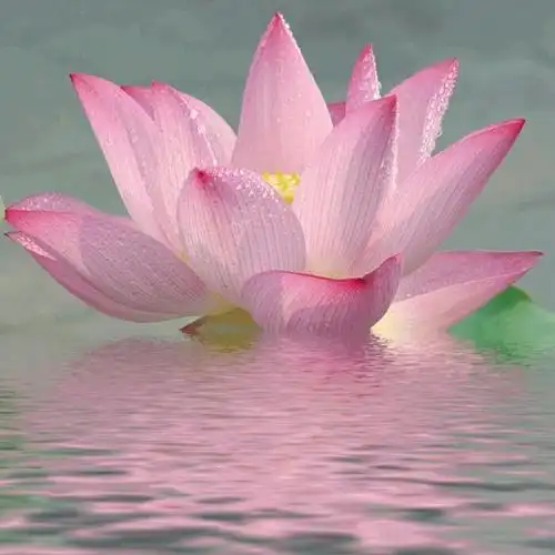 简单的头像干净大方