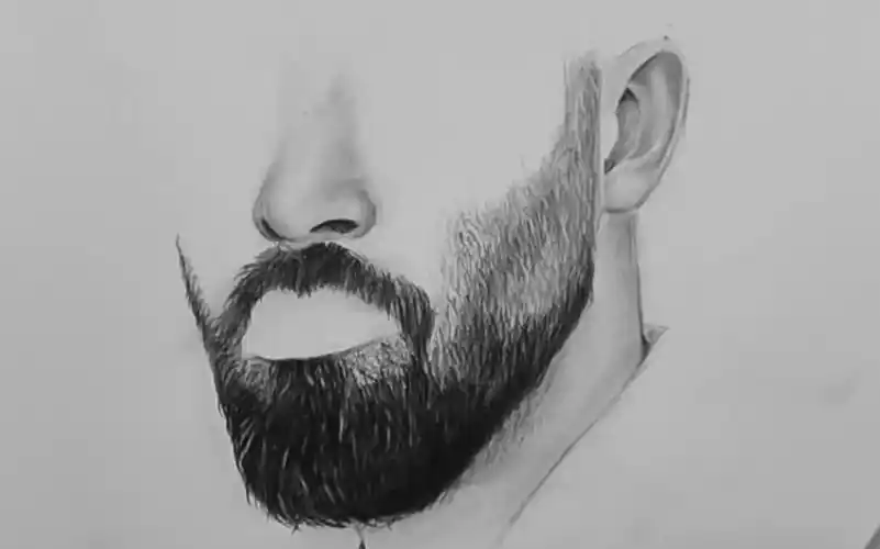 【素描】vk artbox教你用炭笔铅笔绘画逼真男性浓密胡子