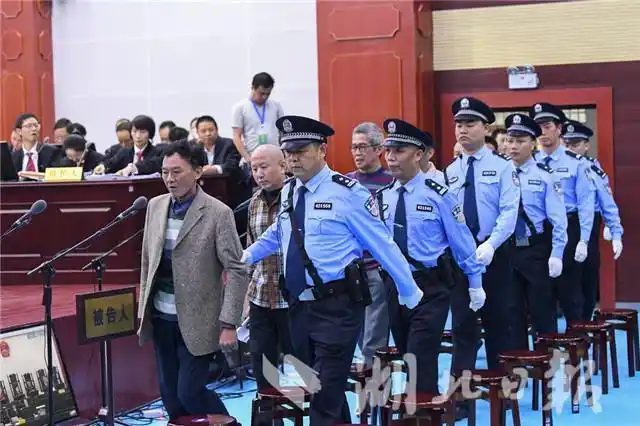 咸宁"肉霸"团伙 被抓后当地猪肉价每斤下降3元