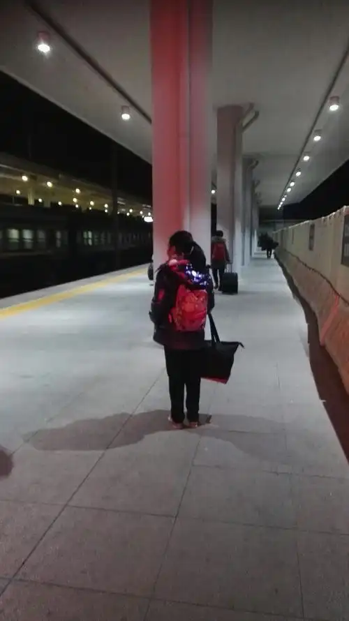 下车了,我很开心,也有点依依不舍,好希望时光倒流,再坐一次火车.