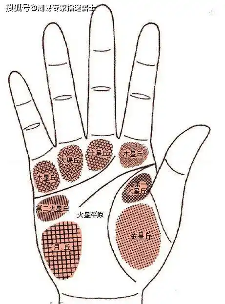 有钱人的手相_财运_财富_手掌