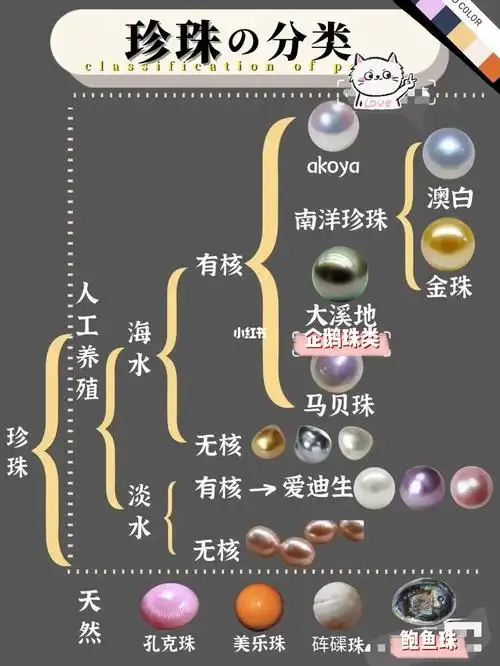 一篇看懂珍珠分类