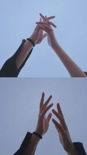 手- 堆糖,美图壁纸兴趣社区