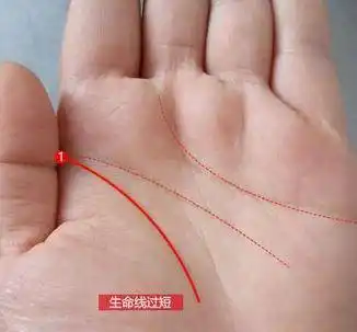 免费测面相算命(看相算命)-7080网