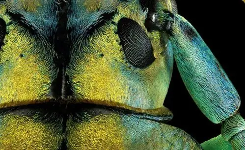 成片百亿像素!这张照片打印出来比你家房子还大