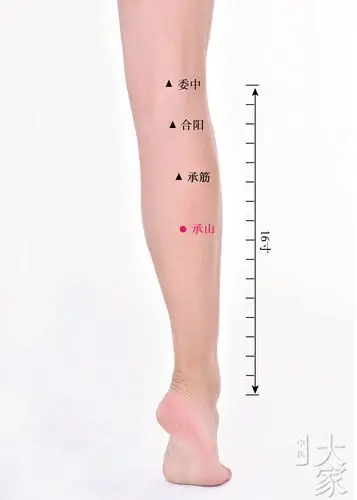 平时没事也可揉揉小腿肚,能升高体温,促进代谢,增强免疫力.