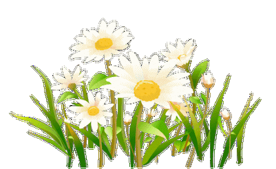 透明gif格式花草素材(新制01)