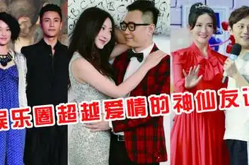 有一种友情叫陈坤林心如 新cp诞生了_百度视频搜索