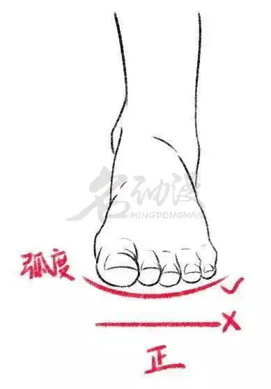 初学者怎么画脚脚的详细结构画法