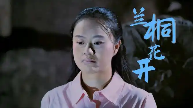 兰桐花开昔日的令人羡慕的情侣再次见面却早已物是人非