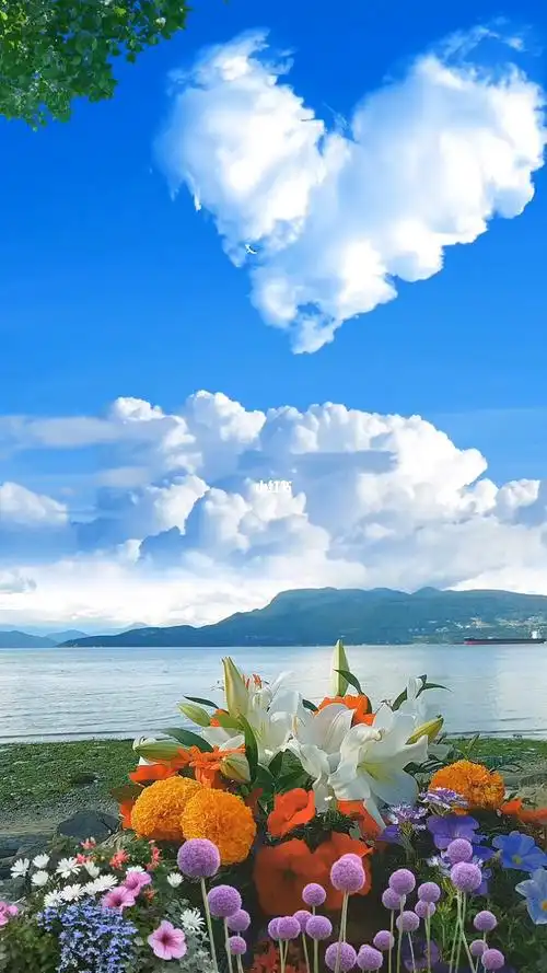 看看蓝天拥抱大海享受阳光治愈壁纸大海