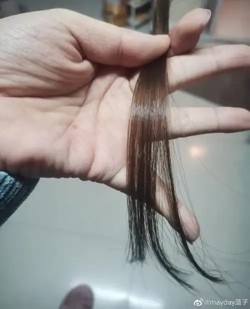 自己剪了一撮头发突然想留着,做个纪念算. 来自mayday蓝子 - 微博