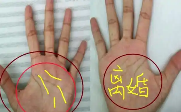 什么样的人会有二婚 手掌感情线弱就是特点之一 -996手相网