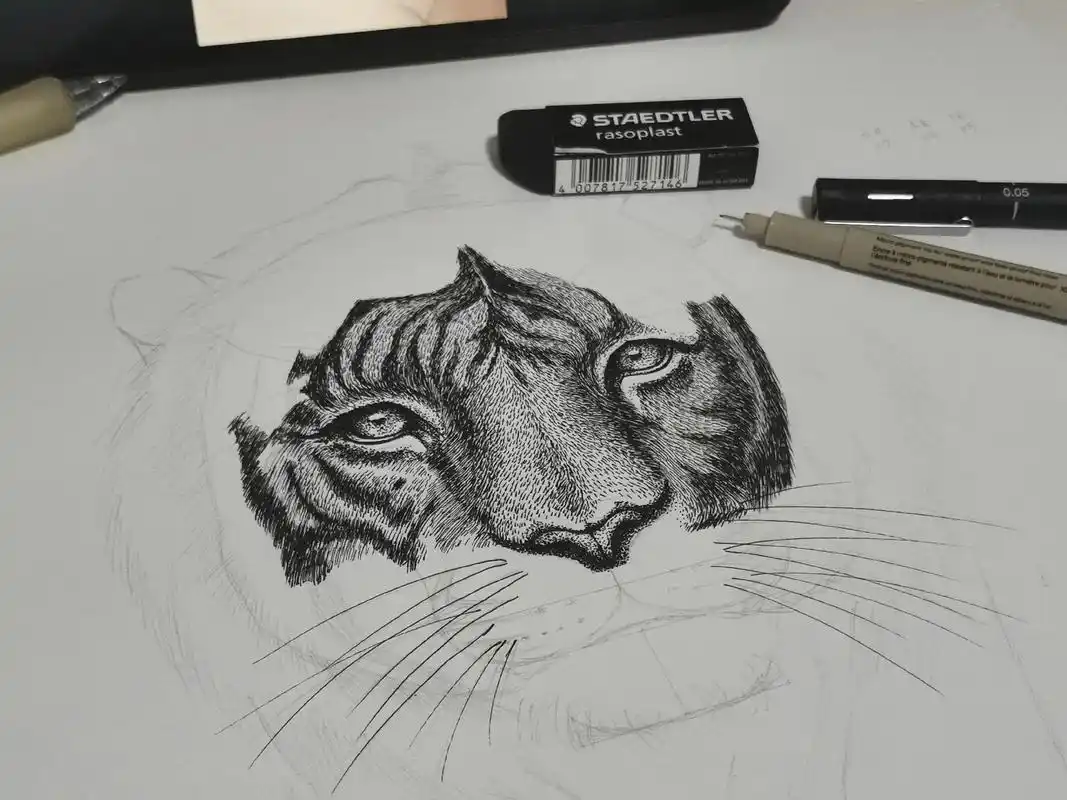 临摹 #针管笔手绘 #虎 - 抖音