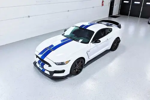 福特野马gt350r.