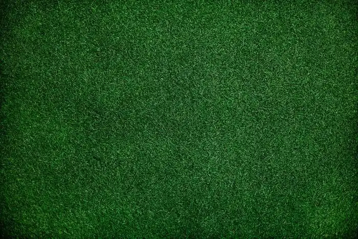 本素材作品名称为深绿色草地背景图片,素材编号是23393