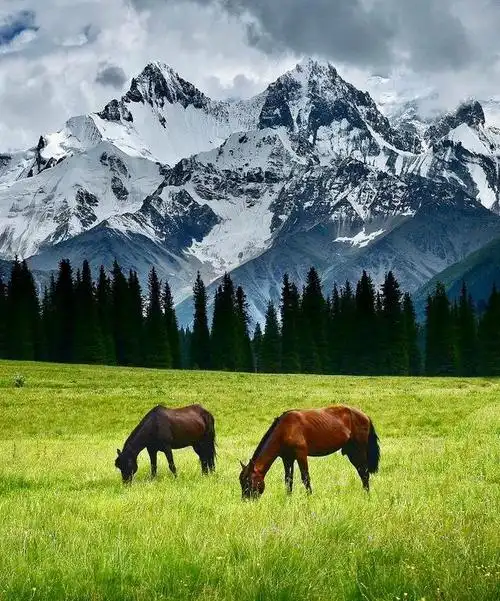 一个通往新疆伊犁雪山的阶梯