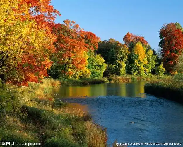 森林摄影图__山水风景_自然景观_摄影图库_昵图网nipic.com