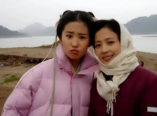 直到刘亦菲十岁时,刘晓莉和安少康意识到彼此之间已经没有爱情,二人