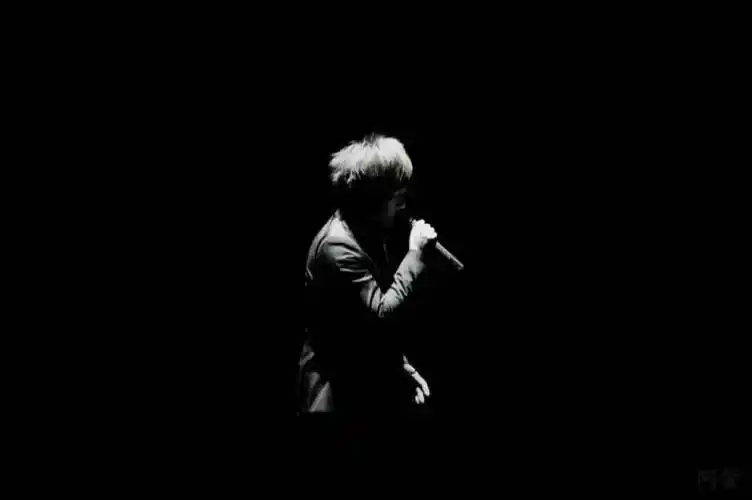 堆糖,美图壁纸兴趣社区