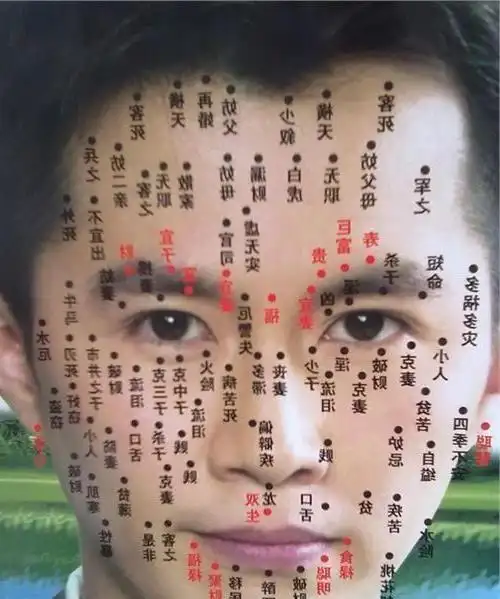 手掌上的痣的位置与命运图解左手