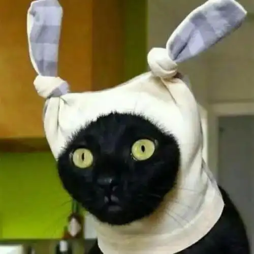 逗比头像 | 超搞笑沙雕头像