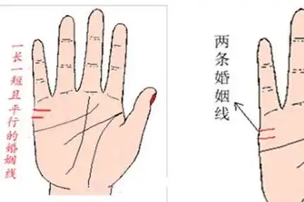 婚姻线图解 婚姻线有两条一长一短代表什么? 两条婚姻线一长一短